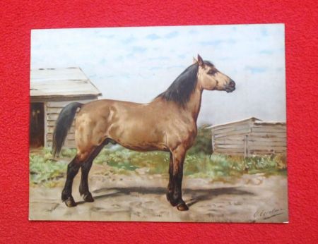Eerelman.Otto Eerelman.1839-1926.Canadeesche paard no.:35